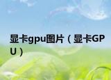 显卡gpu图片（显卡GPU）