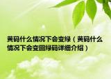 黄码什么情况下会变绿（黄码什么情况下会变回绿码详细介绍）