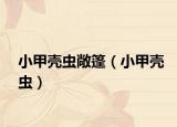 小甲壳虫敞篷（小甲壳虫）
