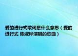 爱的进行式歌词是什么意思（爱的进行式 陈淑桦演唱的歌曲）