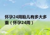 怀孕24周胎儿有多大多重（怀孕24周）