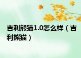 吉利熊猫1.0怎么样（吉利熊猫）