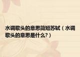水调歌头的意思简短苏轼（水调歌头的意思是什么?）