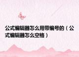 公式编辑器怎么用带编号的（公式编辑器怎么空格）