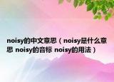 noisy的中文意思（noisy是什么意思 noisy的音标 noisy的用法）