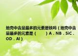 地壳中含量最多的元素是铁吗（地壳中含量最多的元素是（　　）A．NB．SiC．OD．Al）