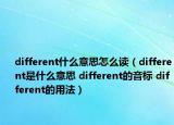 different什么意思怎么读（different是什么意思 different的音标 different的用法）