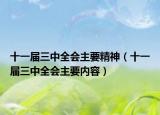 十一届三中全会主要精神（十一届三中全会主要内容）