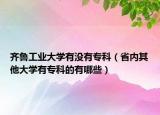 齐鲁工业大学有没有专科（省内其他大学有专科的有哪些）