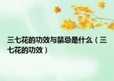 三七花的功效与禁忌是什么（三七花的功效）