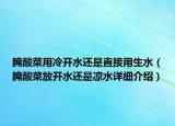 腌酸菜用冷开水还是直接用生水（腌酸菜放开水还是凉水详细介绍）