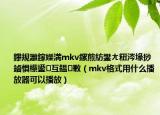 鑻规灉鎵嬫満mkv鏍煎紡鐢ㄤ粈涔堟挱鏀惧櫒鍙互鎾斁（mkv格式用什么播放器可以播放）