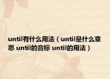 until有什么用法（until是什么意思 until的音标 until的用法）