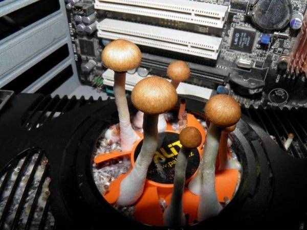 电脑开机就死机？故障可能会比你想的还要“喜感”！