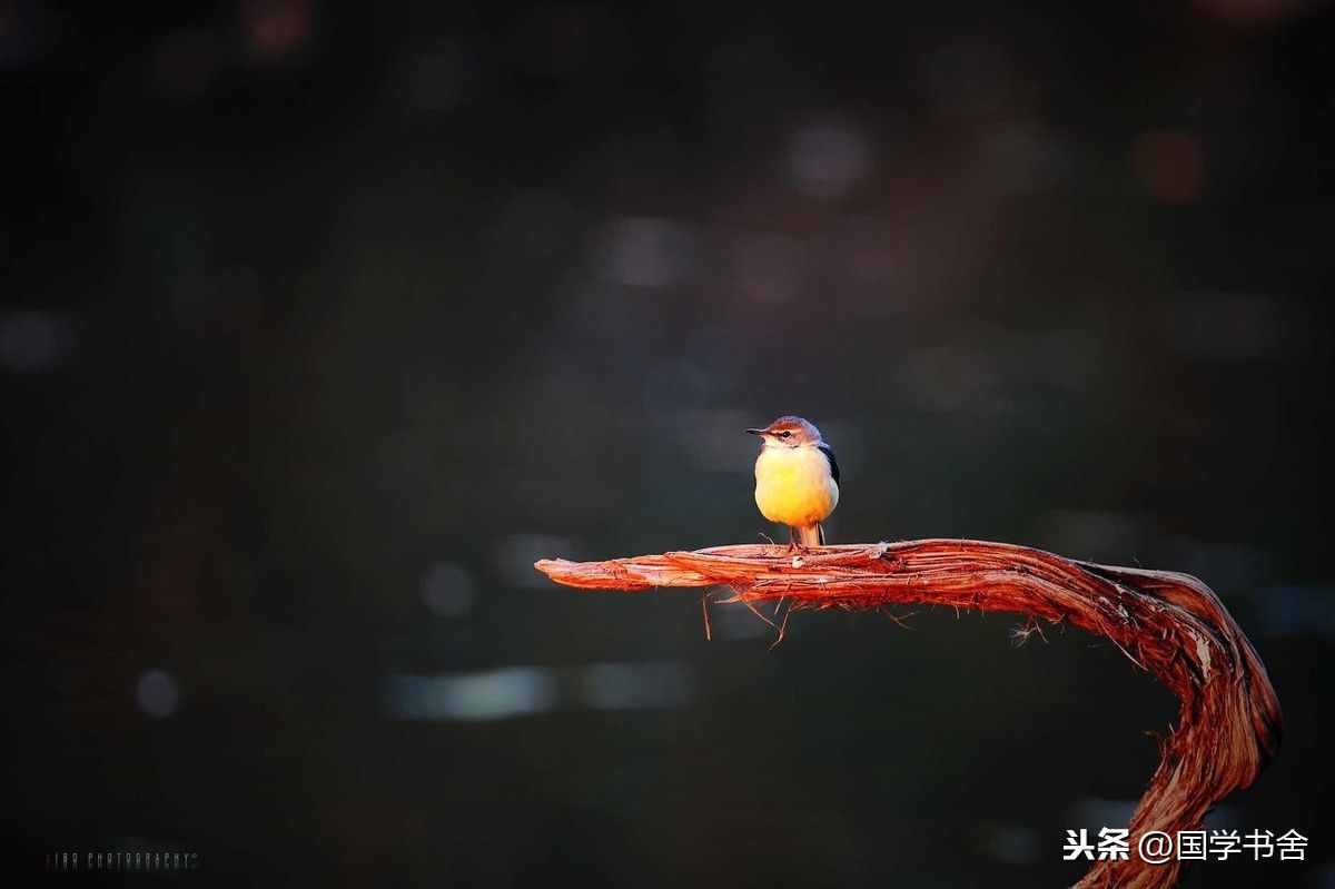 庄子：人生的最好境界，是懂得返璞归真