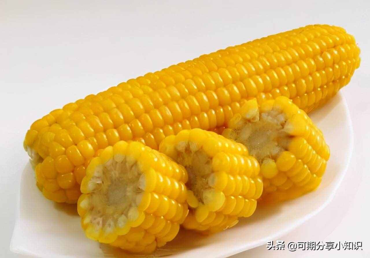 经常吃玉米有哪些好处?看完这些或对你有所帮助