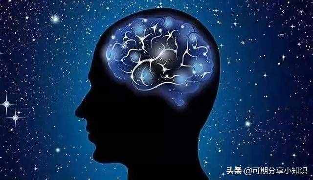 经常吃玉米有哪些好处?看完这些或对你有所帮助