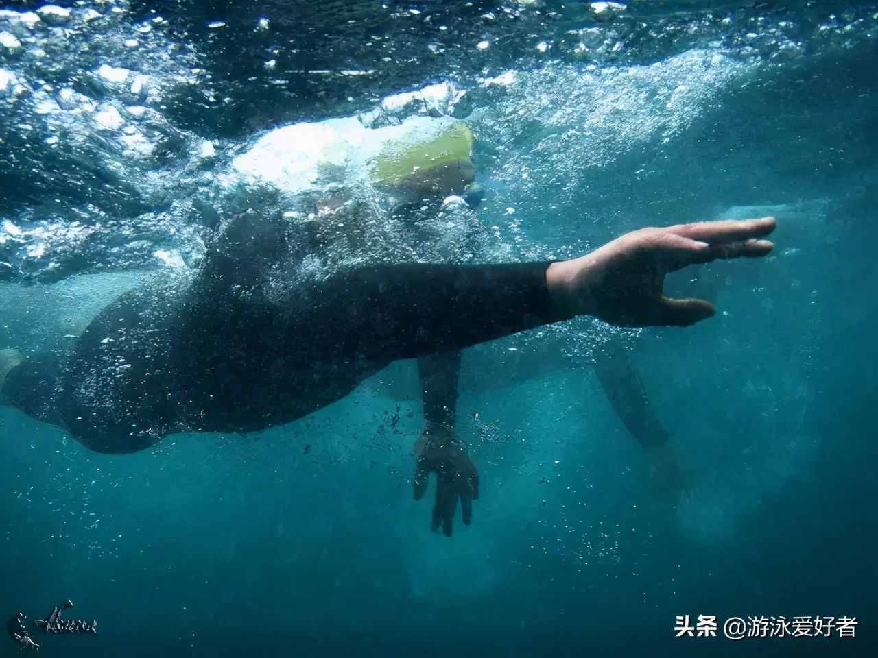 4种游泳姿势的划水动作分析，各不相同