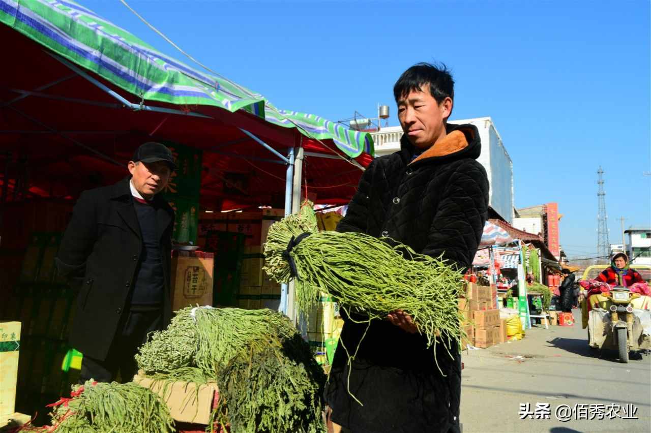 过完春节，农村人不急于外出打工，5种小生意可以考虑一下