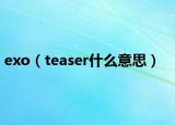 exo（teaser什么意思）