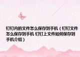 钉钉内的文件怎么保存到手机（钉钉文件怎么保存到手机 钉钉上文件如何保存到手机介绍）