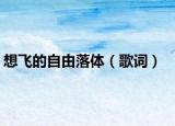 想飞的自由落体（歌词）