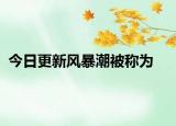 今日更新风暴潮被称为