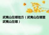 武夷山在哪地方（武夷山在哪里 武夷山在哪）
