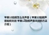 苹果12拍照怎么关声音（苹果12拍照声音如何关闭 苹果12拍照声音关闭的方法介绍）