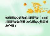 如何看QQ好友的共同好友（qq的共同好友如何看 怎么看QQ共同好友介绍）