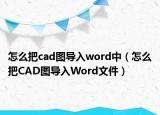 怎么把cad图导入word中（怎么把CAD图导入Word文件）