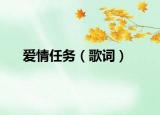 爱情任务（歌词）