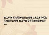 皮之不存,毛将焉存?是什么意思（皮之不存毛将焉附是什么意思 皮之不存毛将焉附的意思是什么）