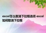 excel怎么取消下拉框选项 excel如何取消下拉框