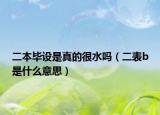 二本毕设是真的很水吗（二表b是什么意思）
