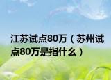 江苏试点80万（苏州试点80万是指什么）