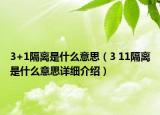 3+1隔离是什么意思（3 11隔离是什么意思详细介绍）