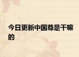 今日更新中国尊是干嘛的