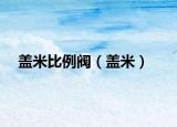 盖米比例阀（盖米）