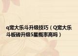 q宠大乐斗升级技巧（Q宠大乐斗板砖升级5星概率高吗）