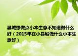 县城想做点小本生意不知道做什么好（2015年在小县城做什么小本生意好）