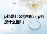 p挡是什么挡相机（p挡是什么挡?）