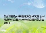 怎么将图片pdf转换成文档pdf文件（pdf如何转化为图片 pdf转化为图片的方法介绍）