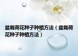 盆栽荷花种子种植方法（盆栽荷花种子种植方法）
