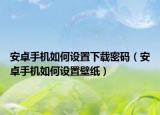 安卓手机如何设置下载密码（安卓手机如何设置壁纸）