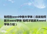 如何在word中放大字体（应该如何放大word字体 如何才能放大word字体介绍）
