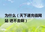 为什么（天下通充值网站 进不去啊）