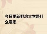 今日更新野鸡大学是什么意思