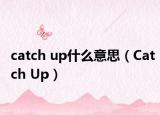 catch up什么意思（Catch Up）