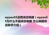 oppoa55没有语音唤醒（oppoa55为什么不能语音唤醒 怎么唤醒语音助手介绍）